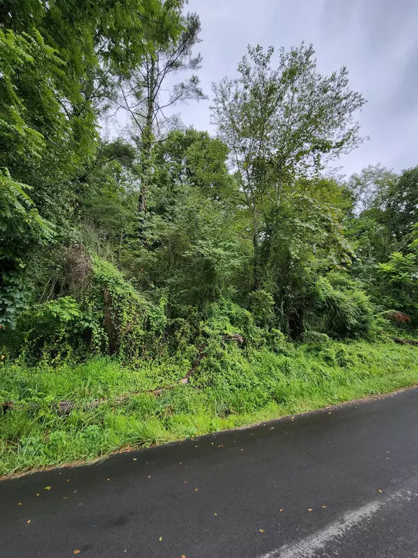 Mountain City, TN 37683,000 Stout RD