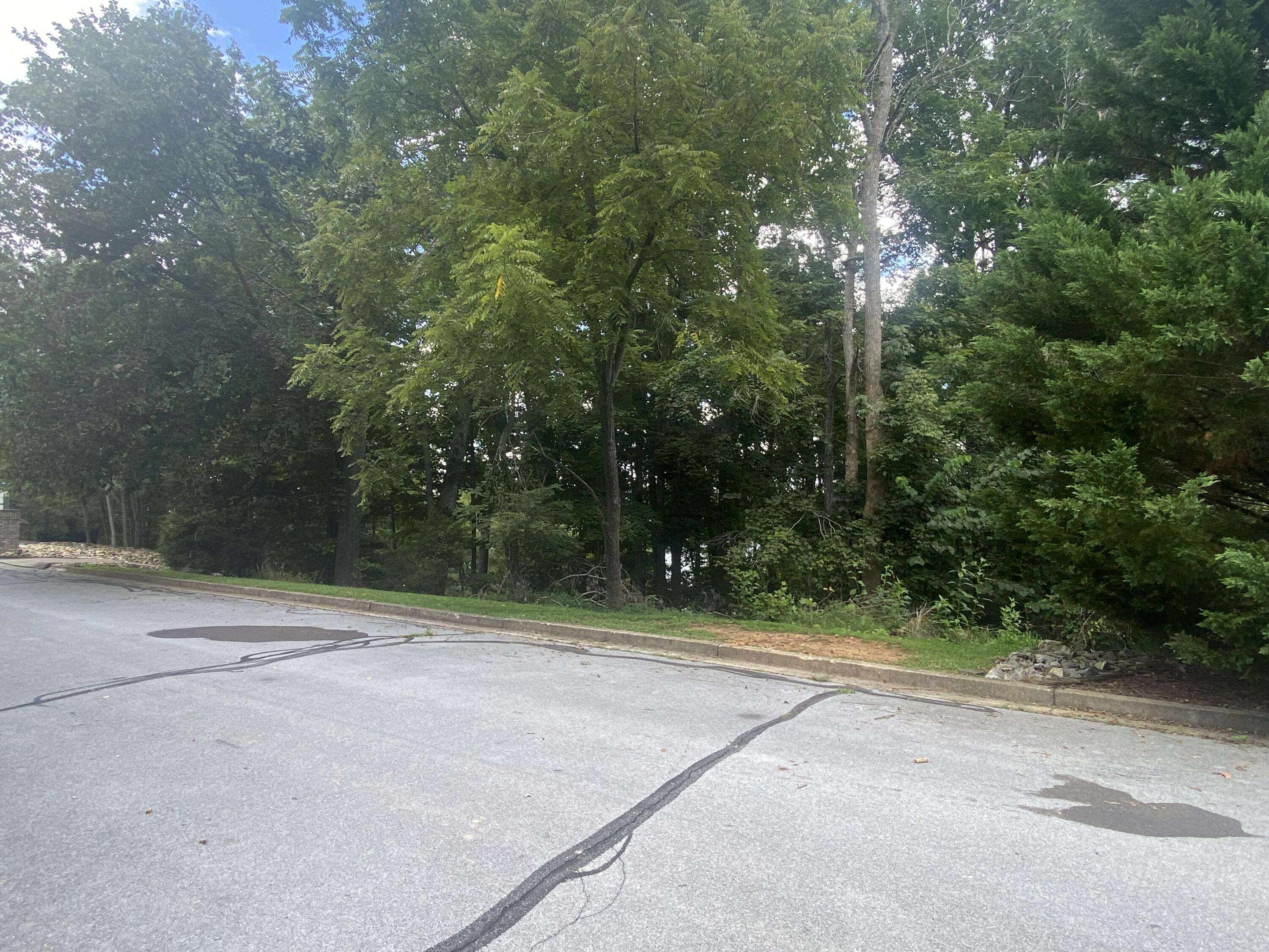Tbd Thunder Bay DR, Johnson City, TN 37615