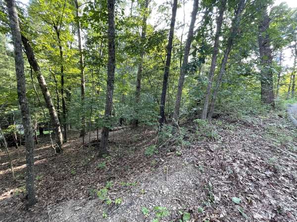 146 Cloudland DR, Bristol, TN 37620