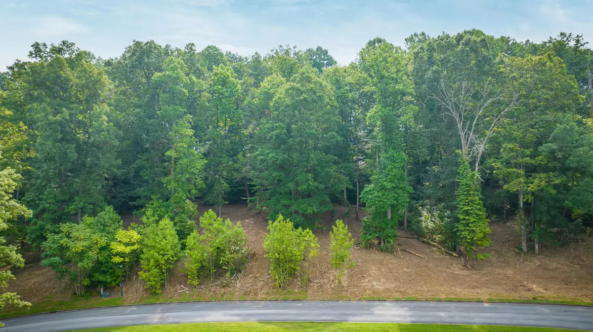 Chuckey, TN 37641,Lot 36 Chimney Top LN