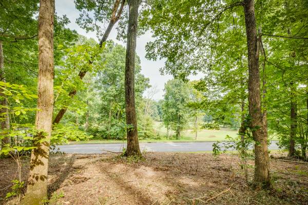 Chuckey, TN 37641,Lot 37 Chimney Top LN