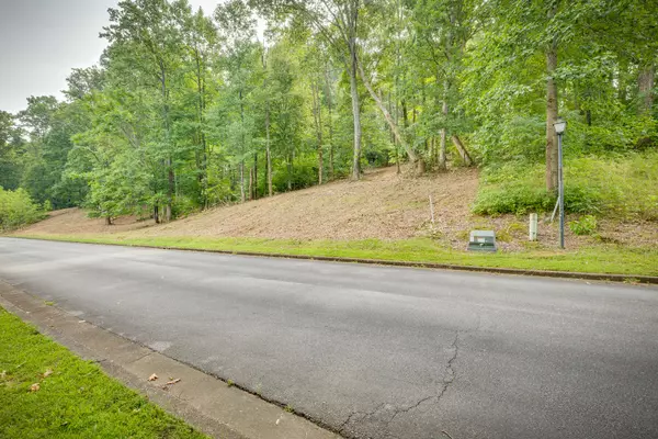 Chuckey, TN 37641,Lot 37 Chimney Top LN