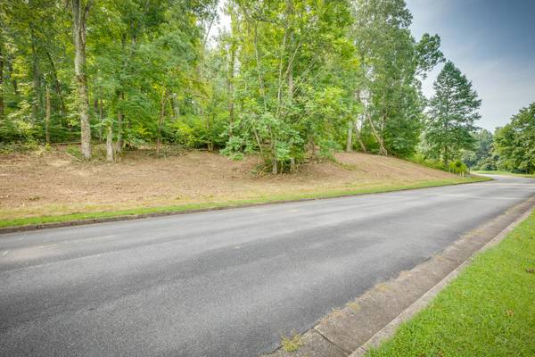 Chuckey, TN 37641,Lot 37 Chimney Top LN