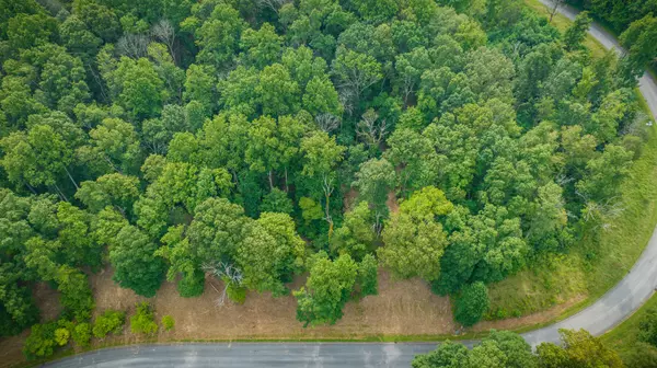 Chuckey, TN 37641,Lot 37 Chimney Top LN