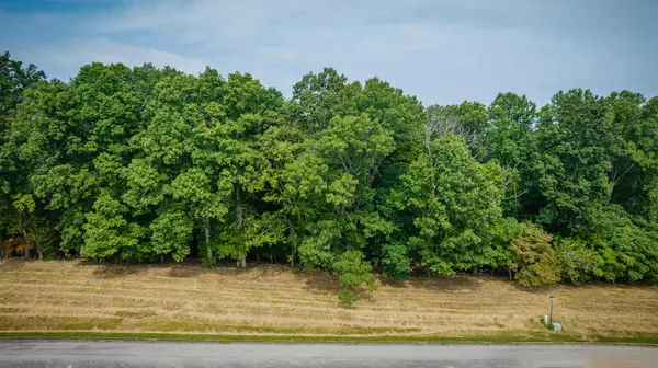 Chuckey, TN 37641,Lot 42 Chimney Top LN