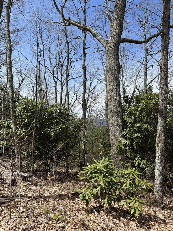 00 Of Harbin Hill RD, Mountain City, TN 37683