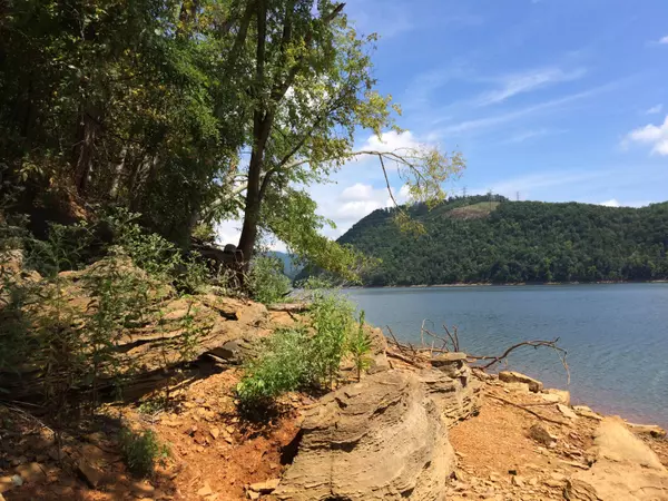 Mooresburg, TN 37811,1204 Waterview LN