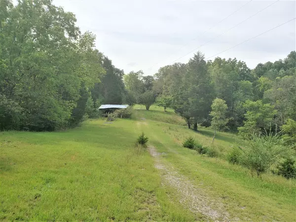 236 Buzzard Roost RD, Bulls Gap, TN 37711