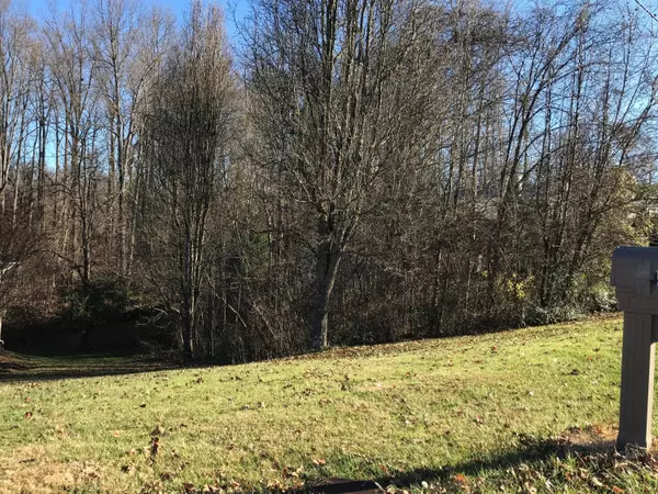 Johnson City, TN 37615,00 Village LN