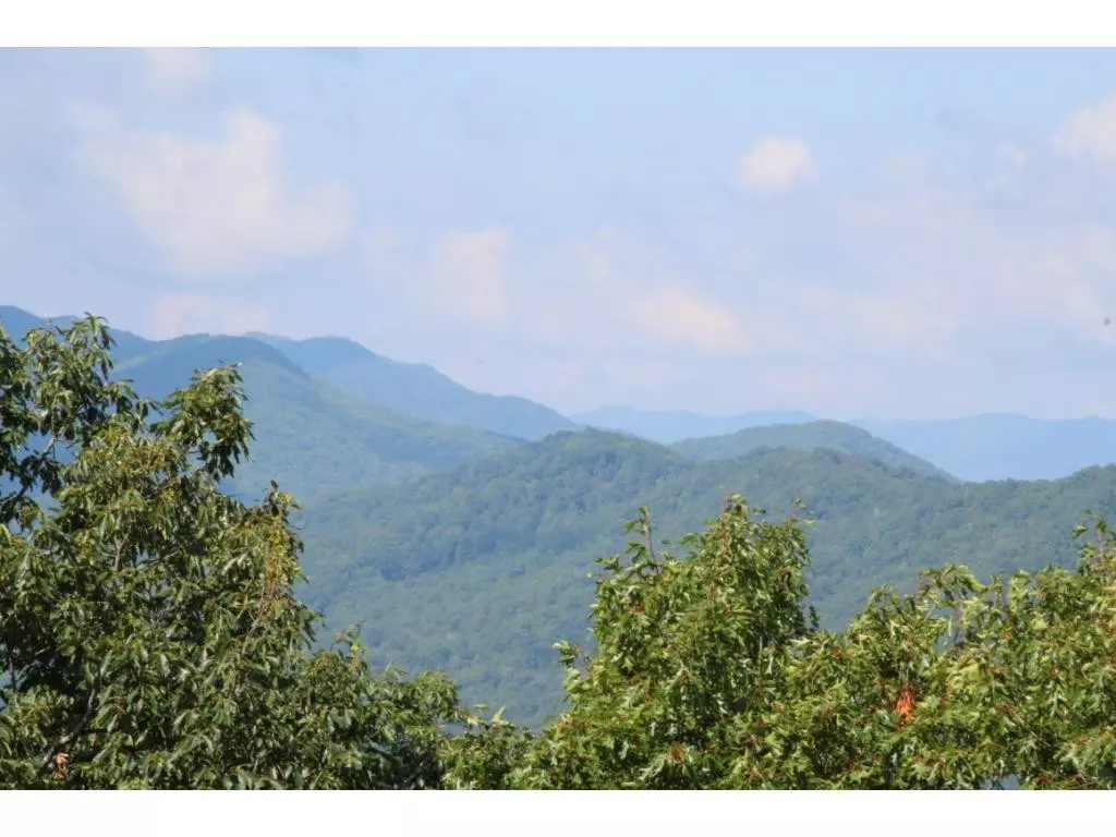 Mountain City, TN 37683,000 Callalantee