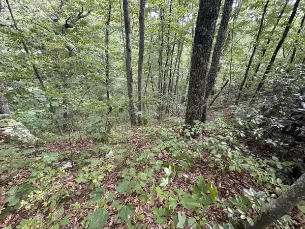 Sevierville, TN 37876,Lot 65 Green Bay DR