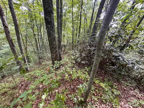 Sevierville, TN 37876,Lot 65 Green Bay DR