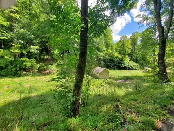 Roan Mountain, TN 37687,Tbd Old Buck Mountain RD