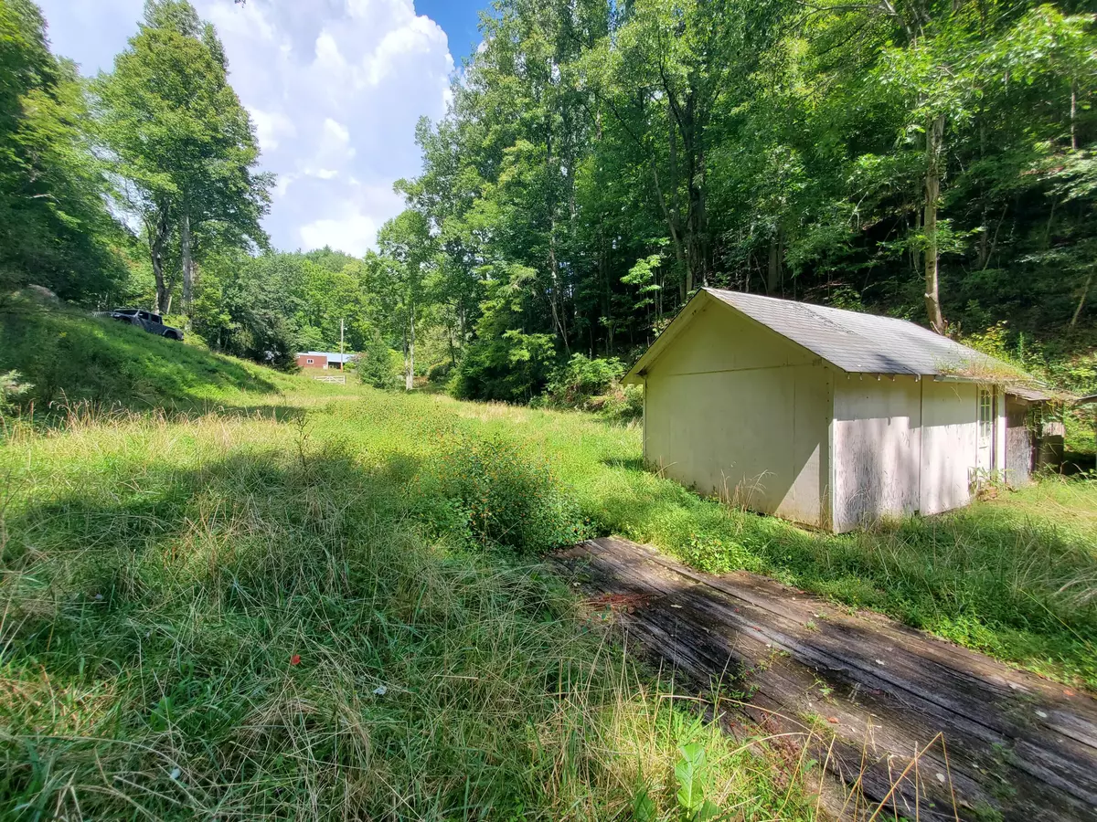 Roan Mountain, TN 37687,Tbd Old Buck Mountain RD