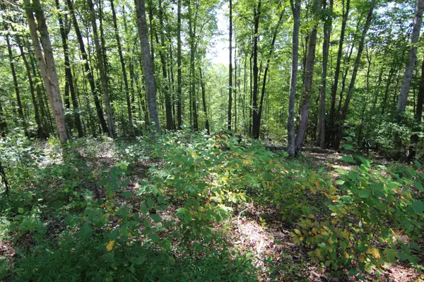 Butler, TN 37640,Lot #49 Redbud Circle