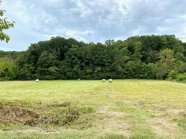 2378 Hall RD, Dandridge, TN 37725