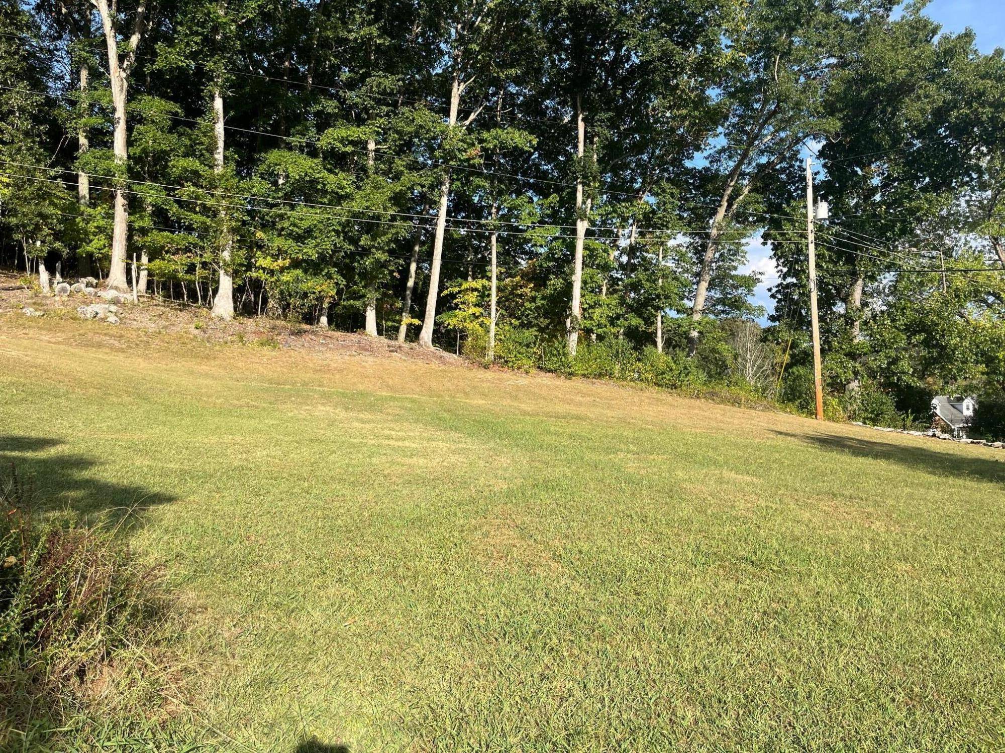 Weber City, VA 24290,Tbd Pine ST