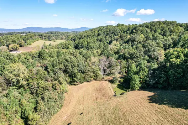 Afton, TN 37616,000 Old Baileyton RD