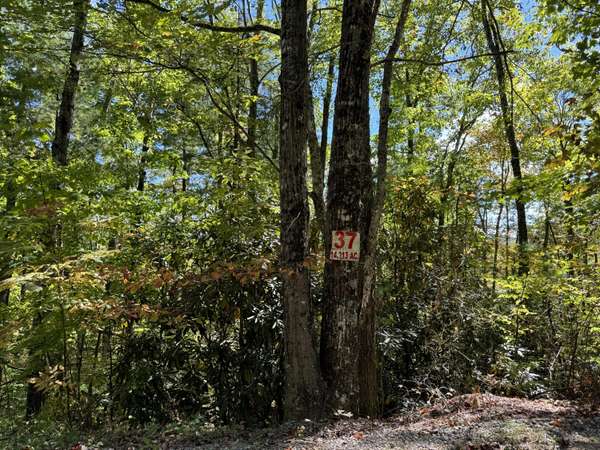 Lot 37 Joy WAY,  Hartford,  TN 37753