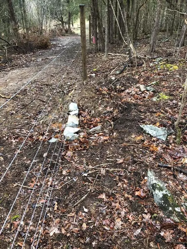 Johnson City, TN 37615,0 Log Cabin LN