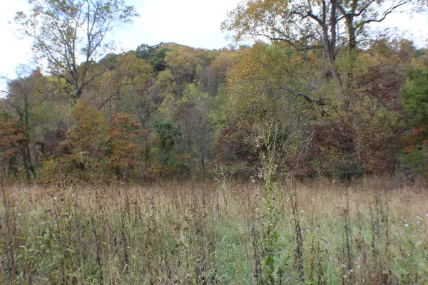 Bluff City, TN 37618,1074 Egypt RD