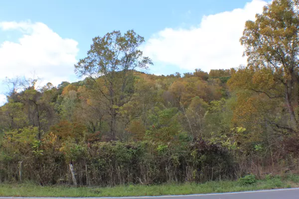 Bluff City, TN 37618,1074 Egypt RD