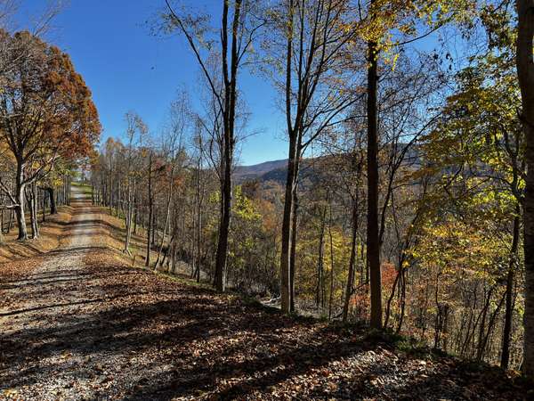 Butler, TN 37640,Lot 52 Summerfield DR