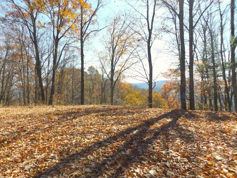 Lot 11b Tulip Poplar TRL, Butler, TN 37640