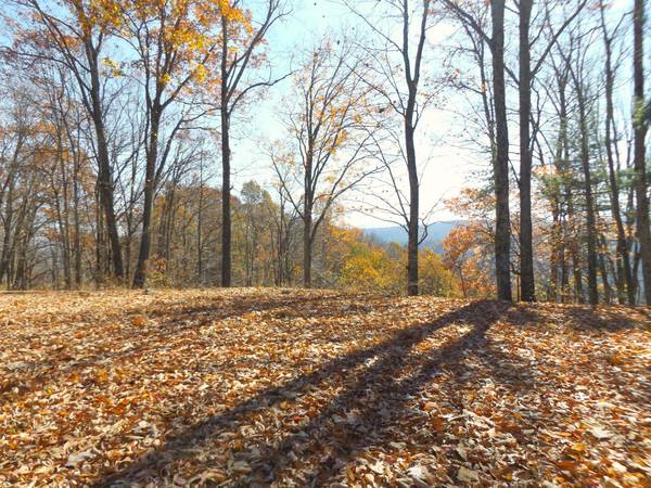 Lot 11b Tulip Poplar TRL,  Butler,  TN 37640