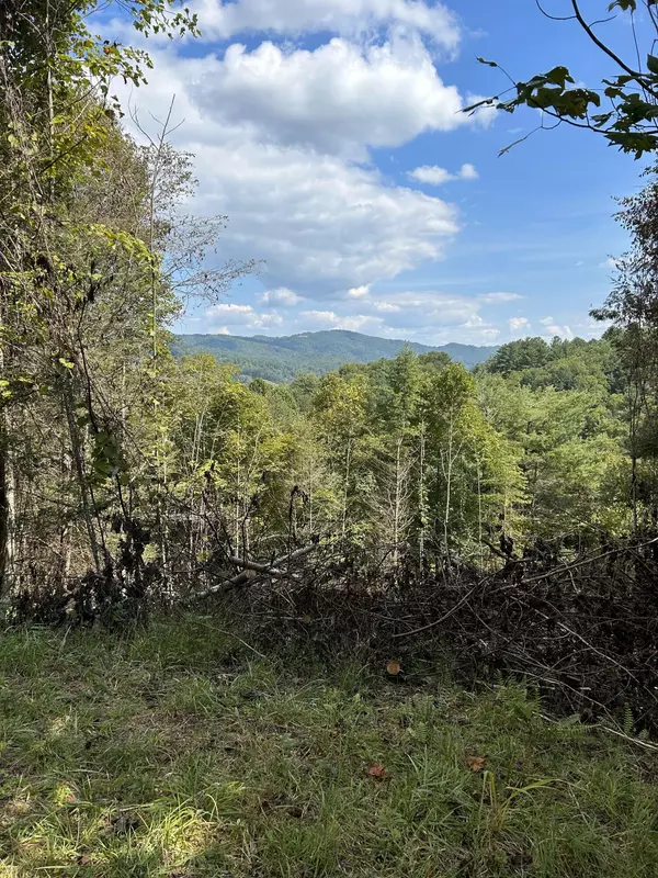 Roan Mountain, TN 37687,Lot 6 Laurel Highlands RD