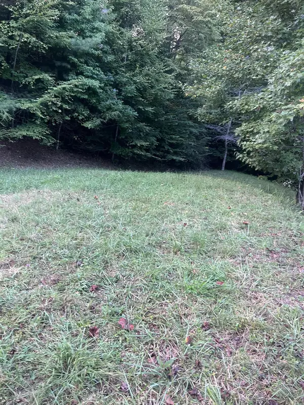 Roan Mountain, TN 37687,Lot 6 Laurel Highlands RD