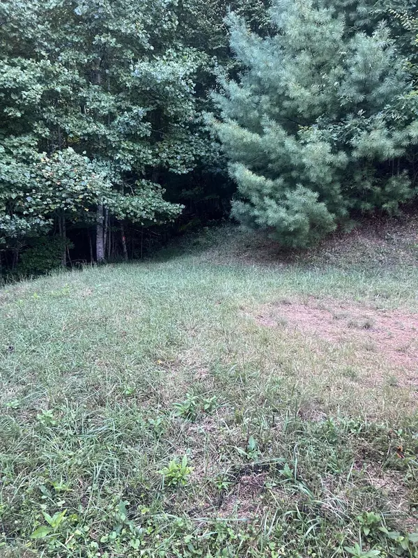 Roan Mountain, TN 37687,Lot 6 Laurel Highlands RD