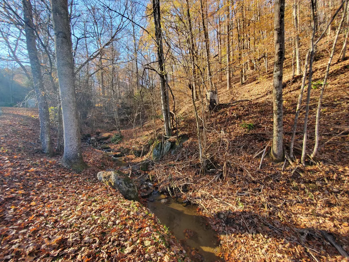 Roan Mountain, TN 37687,00 Ingram Branch RD