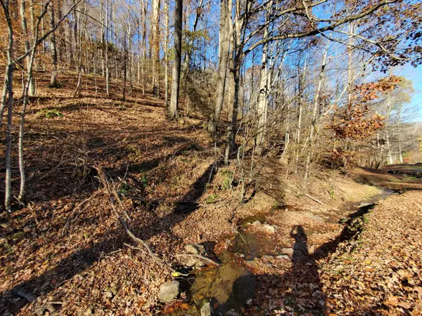 Roan Mountain, TN 37687,00 Ingram Branch RD