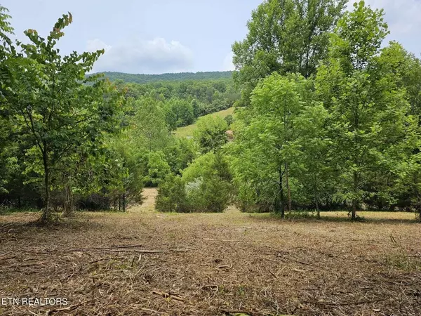 Tbd Vardy Blackwater RD, Sneedville, TN 37869