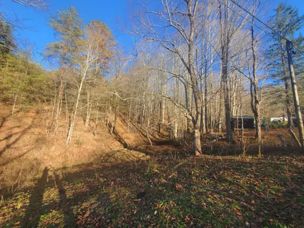 Roan Mountain, TN 37687,00 Miller Hollow RD