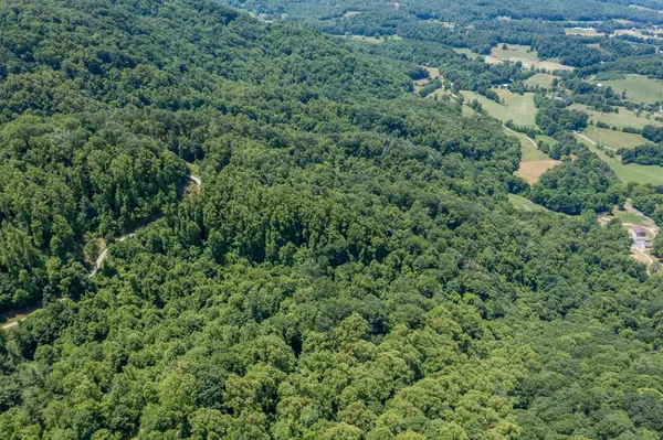 Unicoi, TN 37692,Lot 4 Ridgetop LN