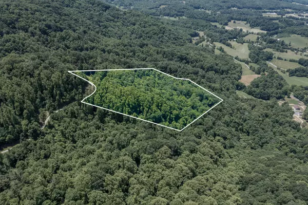 Unicoi, TN 37692,Lot 4 Ridgetop LN