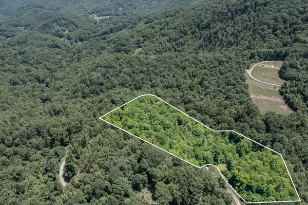 Unicoi, TN 37692,Lot 1 Ridgetop LN