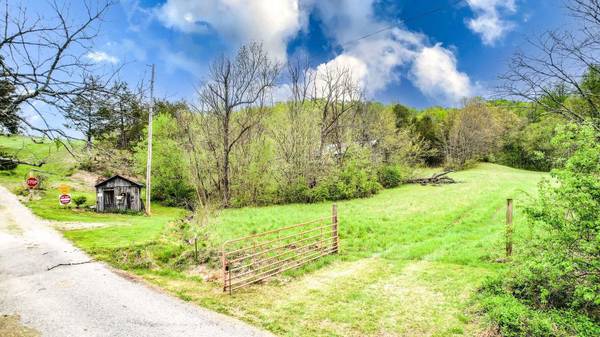 Parrottsville, TN 37843,Tbd Sinking Creek Rd