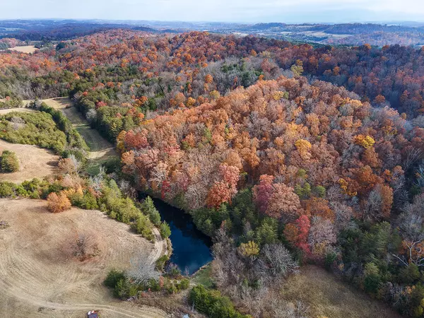 Tbd Sinking Creek Rd, Parrottsville, TN 37843