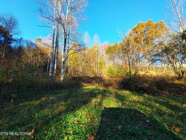 Sneedville, TN 37869,Tbd Ferguson Cemetery RD