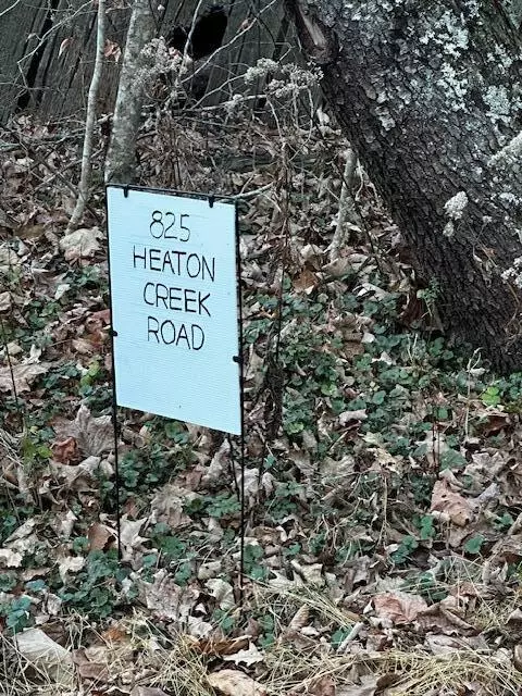 Roan Mountain, TN 37687,825 Heaton Creek RD