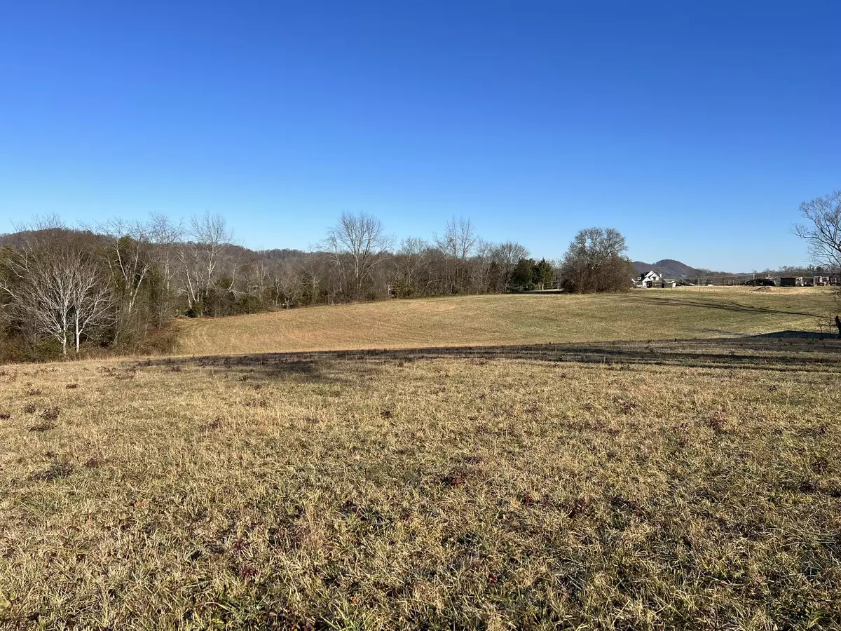 Jonesborough, TN 37659,955 Leesburg (Lot 8) RD