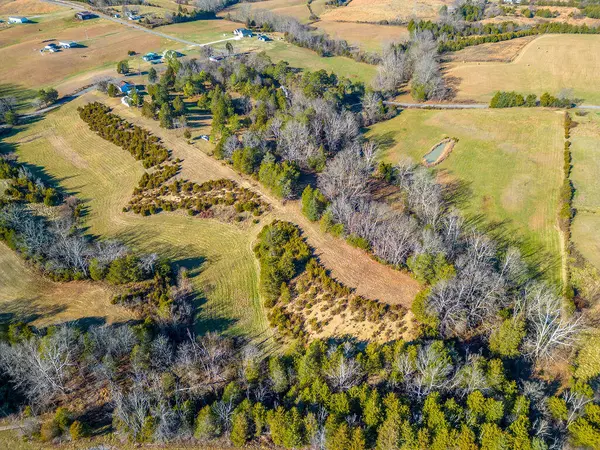 Mosheim, TN 37818,Lot 5 Mt Sinai RD