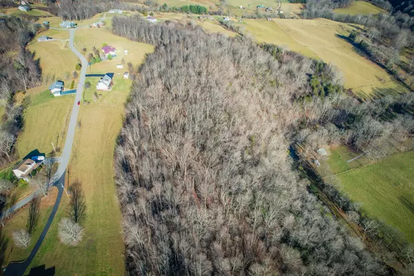 Lebanon, VA 24266,Tbd Scenic Elk Garden DR