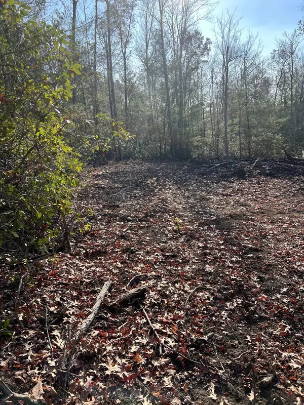 Oneida, TN 37841,Tbd Bear Hollow TRL