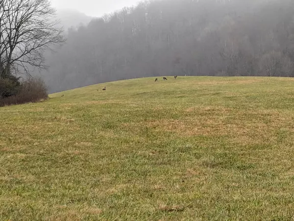 Duffield, VA 24244,Tbd Redwine Hollow LN