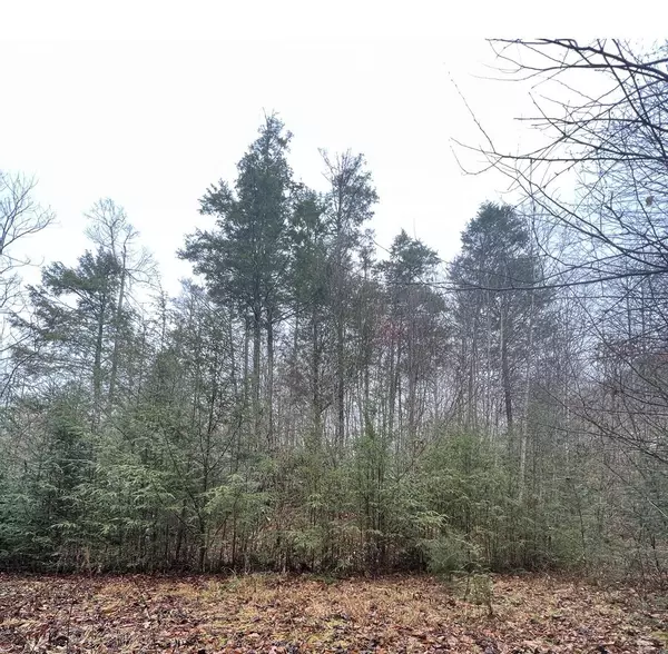 Roan Mountain, TN 37687,Lot #15 Moonlight DR