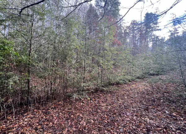 Roan Mountain, TN 37687,Lot #15 Moonlight DR